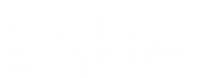 vishion